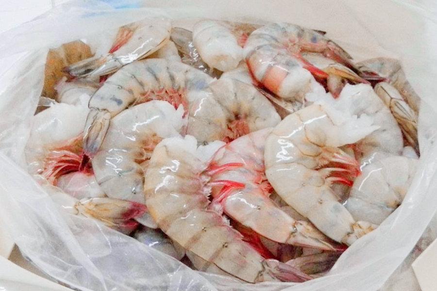Crevettes sauvages U/15 - 5 lbs - Image 2